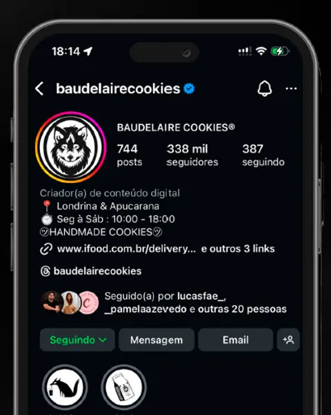 Perfil do Instagram da Baudelaire Cookies